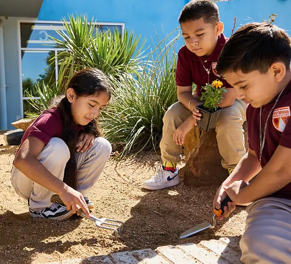 Clubs That Help Every Scholar Find Their Spark